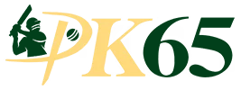 pk65game.info Logo